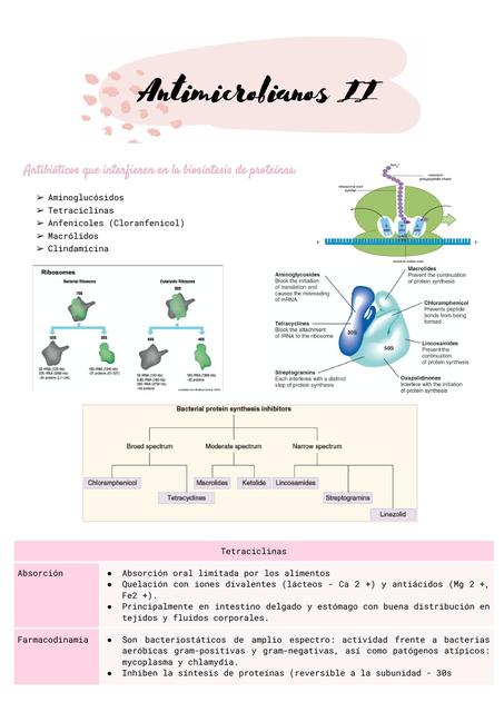 Antimicrobianos