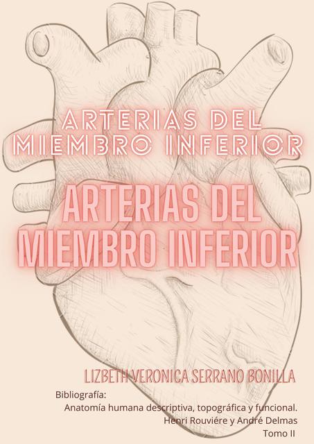 Arterias de miembro inferior