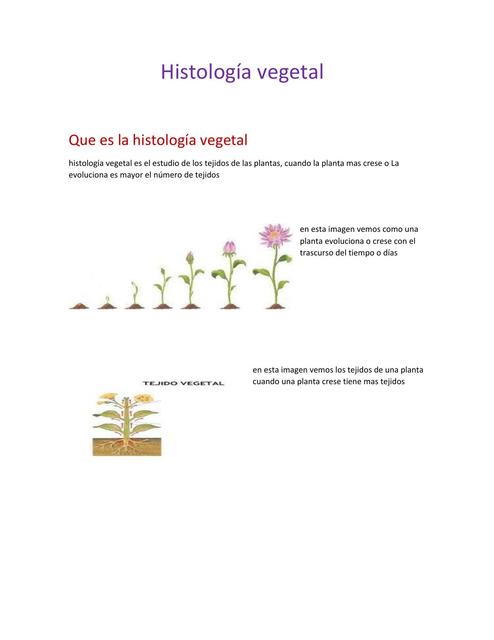 Histología Vegetal