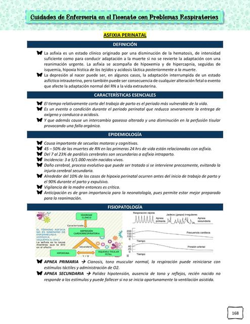 Problemas respiratorios neonatales