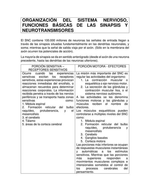 Organización del Sistema Nervioso