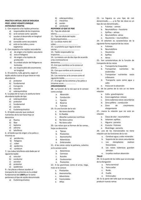 Histología Vegetal