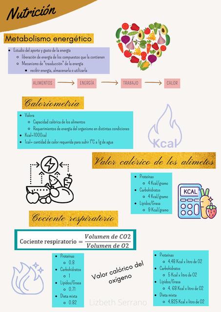 Nutrición y metabolismo