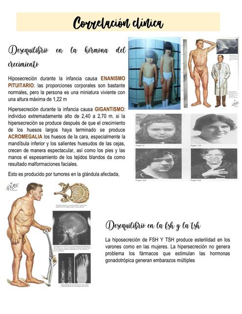 Correlación clínica de endocrino