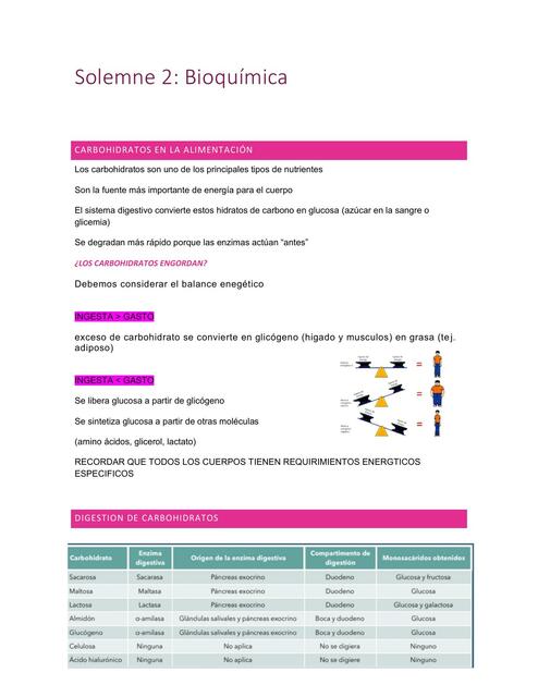 Solemne 2: Bioquímica