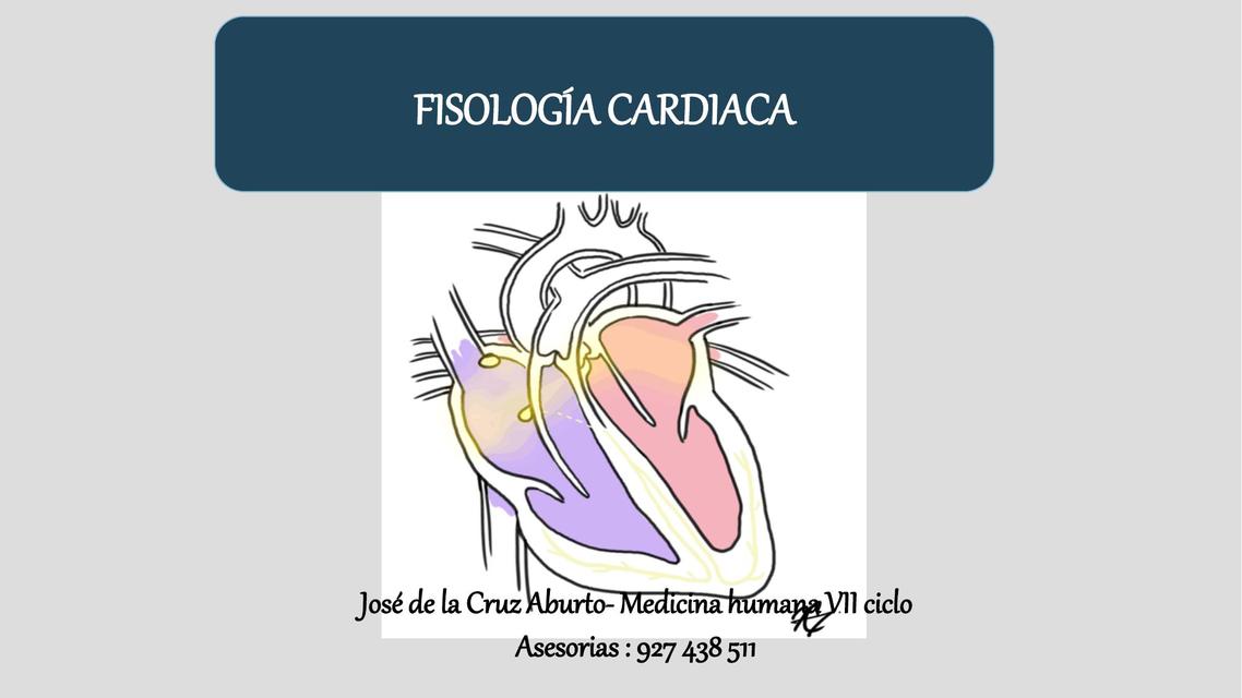 Fisiología Cardiaca 