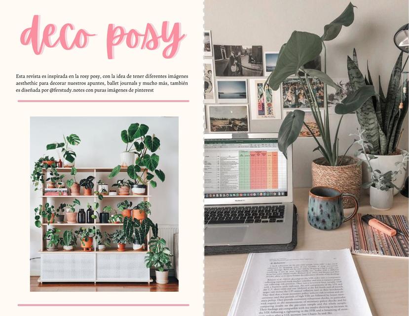 Revista- Deco Posy