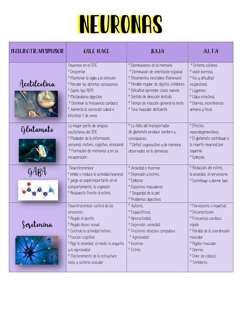 Neuronas