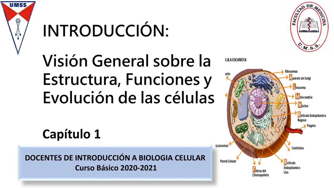 Evolución de las Células 