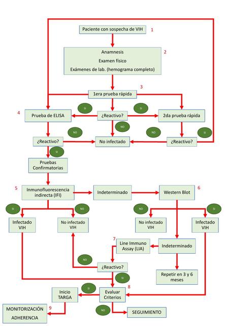 Algoritmo diagnóstico de VIH dx allmed uDocz