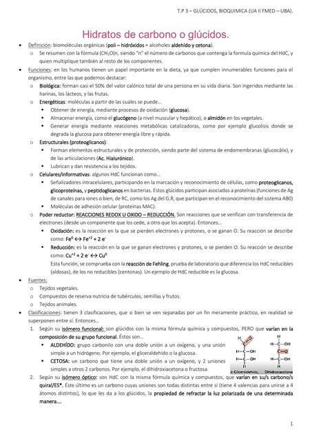 Bioquímica de los Glúcidos