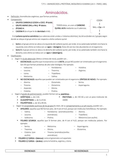 Generalidades Bioquímicas de AA y Proteínas Especificas