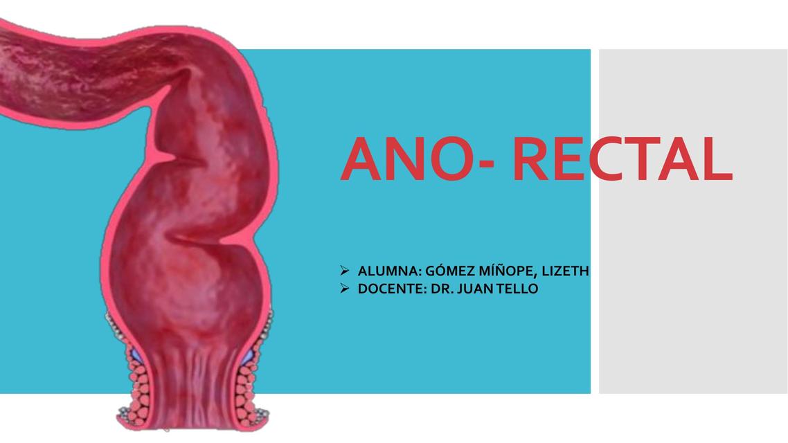 Ano Rectal