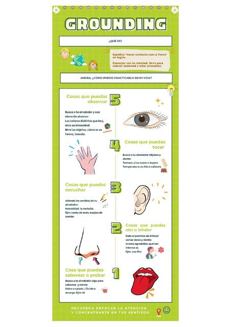 Infografía Técnica Grounding