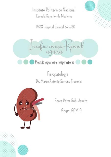 Insuficiencia Renal Aguda