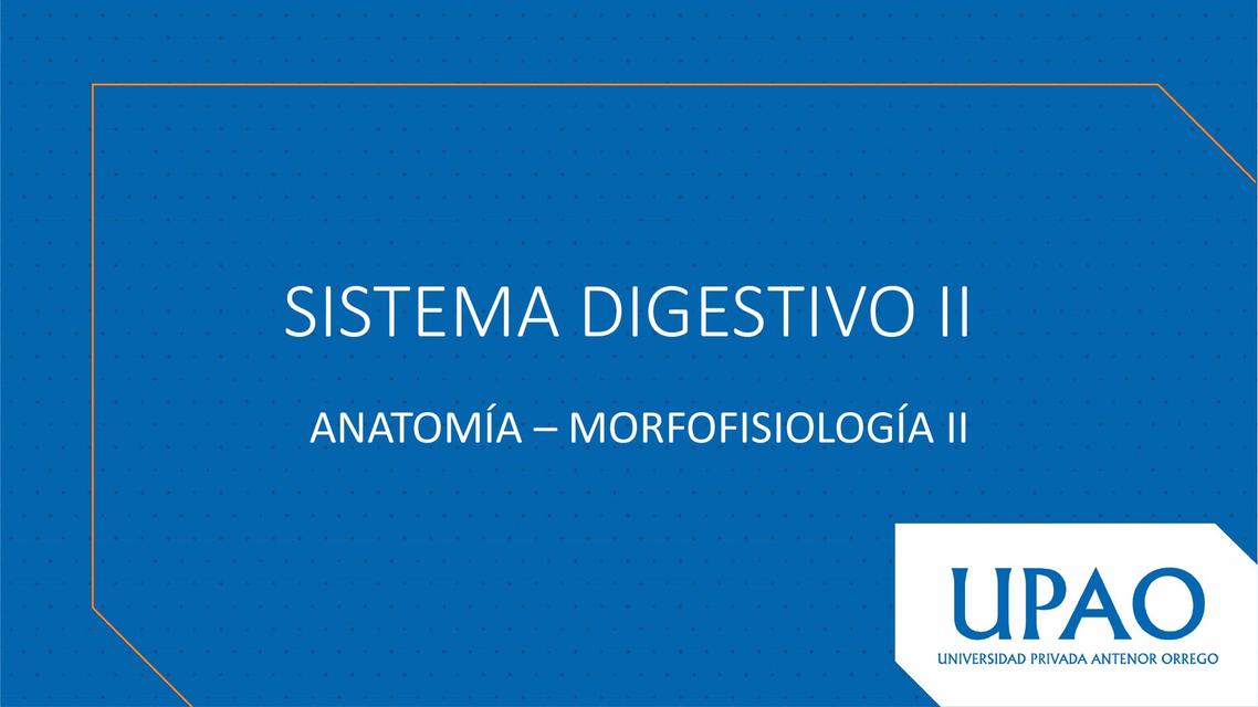 Anatomía del Sistema Digestivo