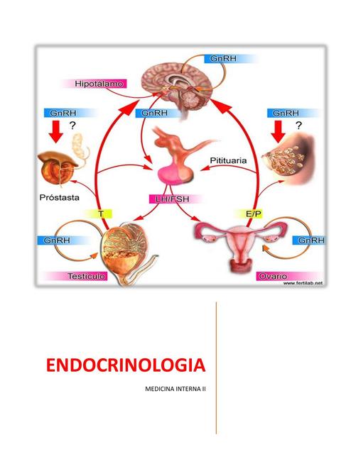 Unidad de Endocrinología 