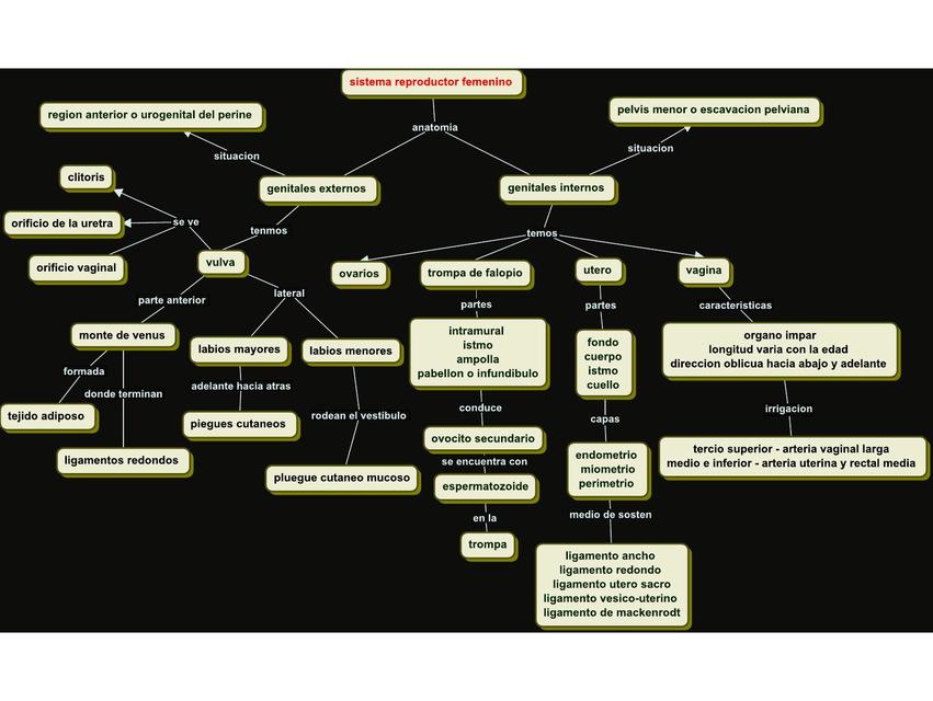 Generalidades de Sistema Reproductor Femenino