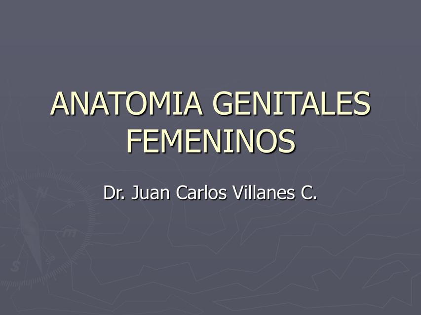 Anatomía Genitales Femeninos