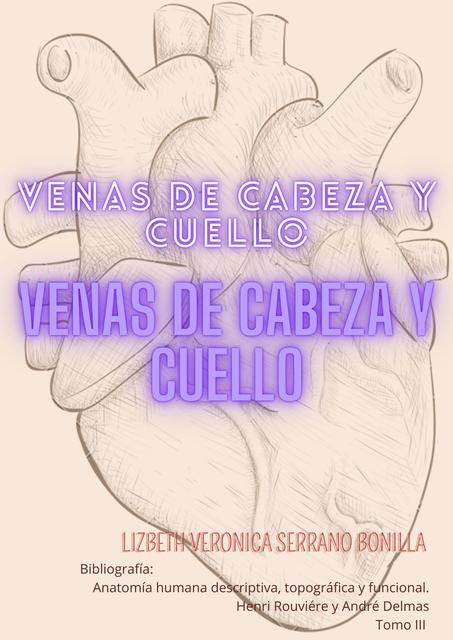 Venas de cabeza y cuello