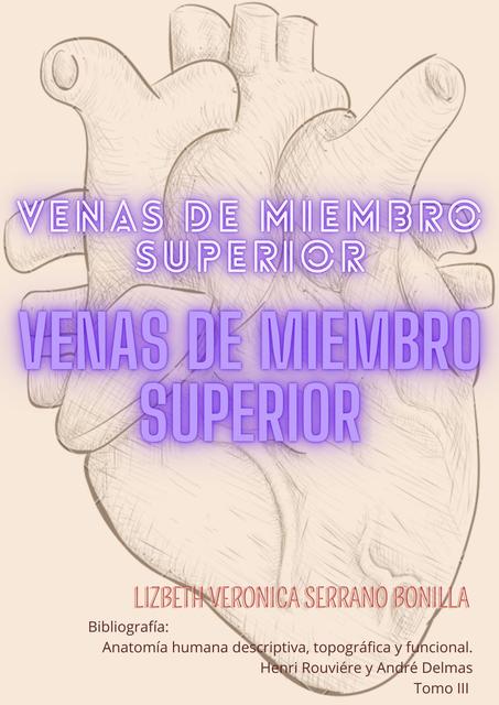 Venas de miembro superior