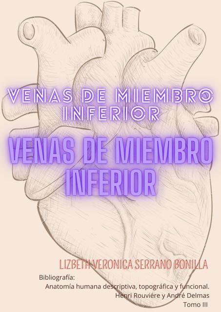 Venas de miembro inferior