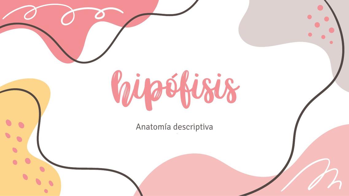 Hipófisis