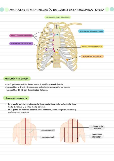 Semiología de sistema respiratorio 