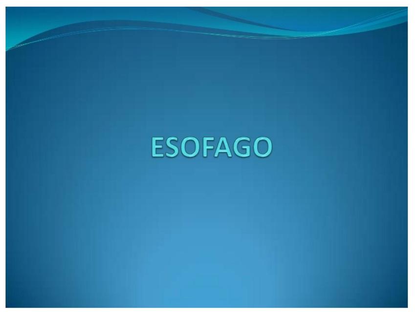 Esófago 