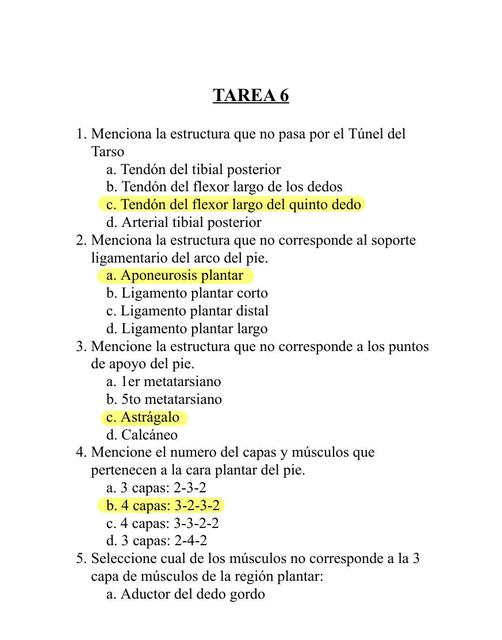 Tarea 6 