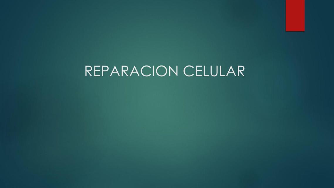 Reparación Celular 