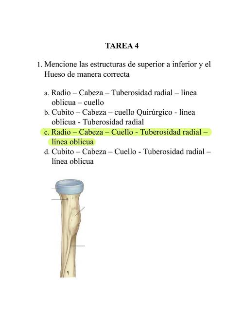 Tarea de Traumatología