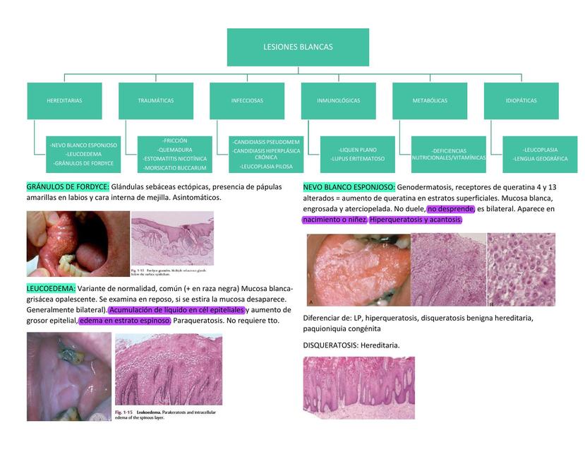 Lesiones blancas patología de glándulas salivales y enfermedades granulomatosas