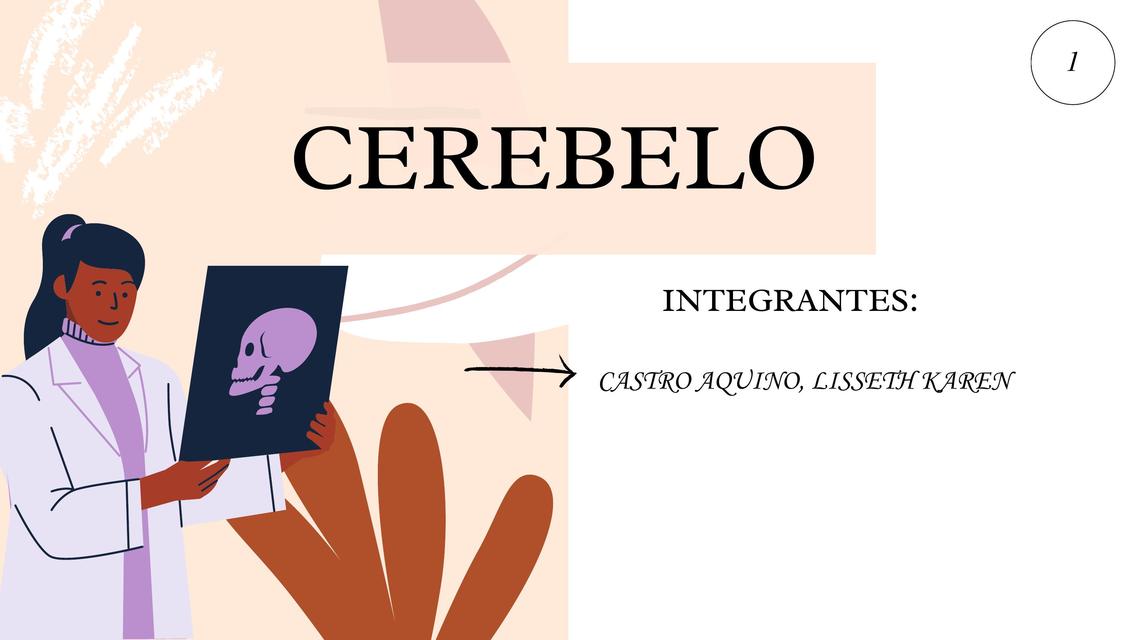 Cerebelo