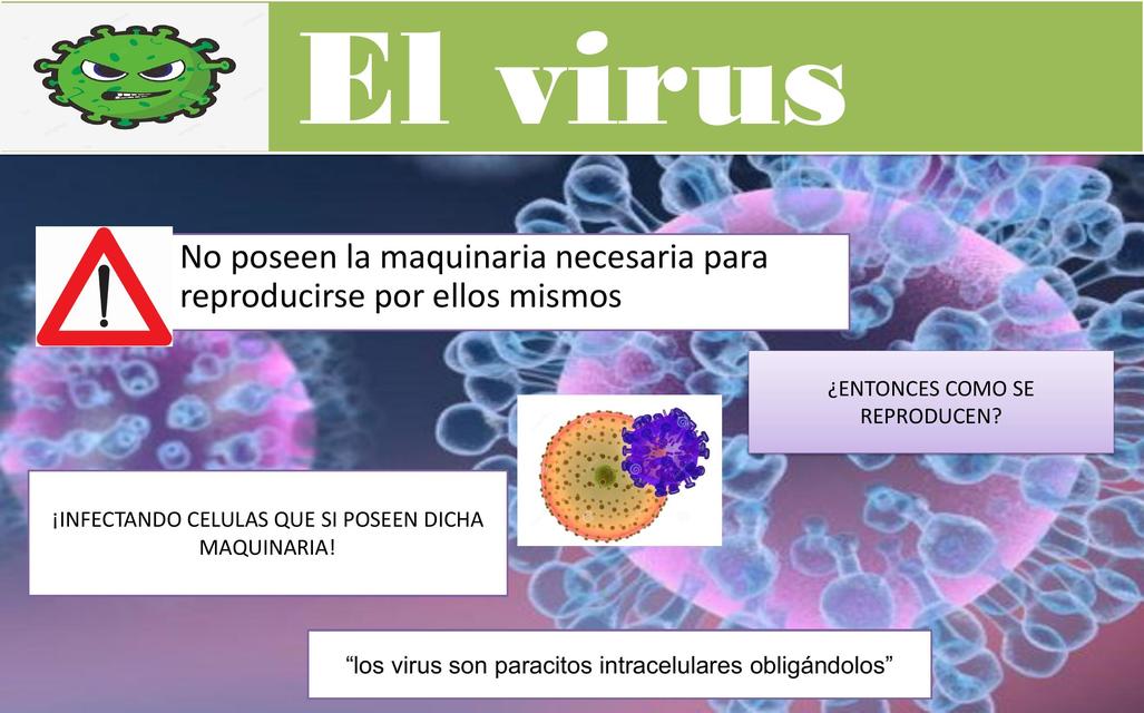 El Virus 