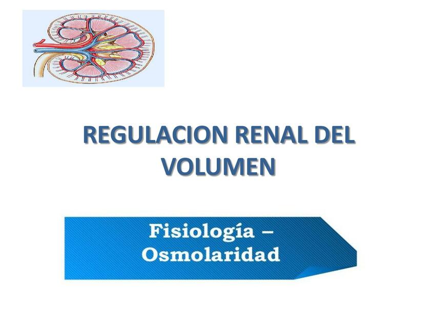 Regulación Renal del Volumen