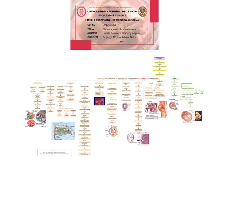 Membranas Fetales y Placenta 