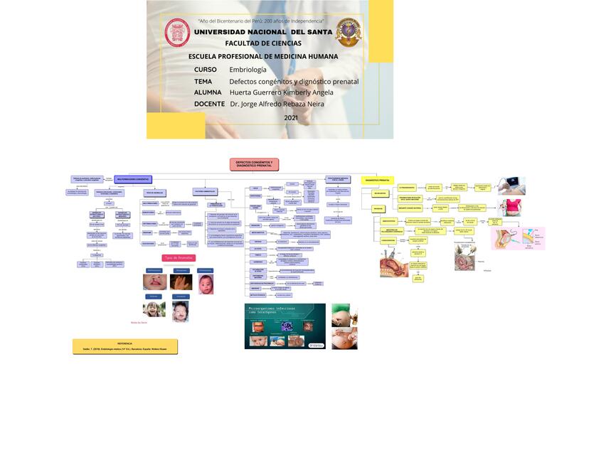 Defectos Congénitos y Diagnostico Prenatal 