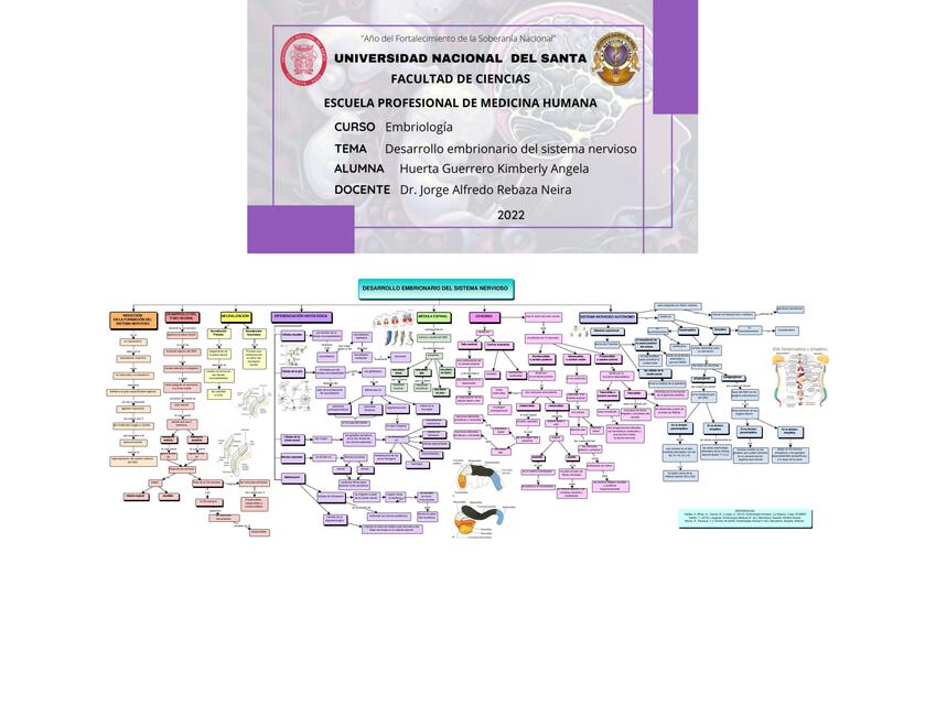 Desarrollo Embrionario del Sistema Nervioso 