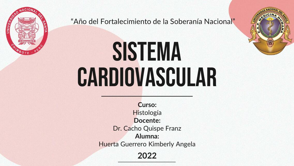 Sistema Cardiovascular 