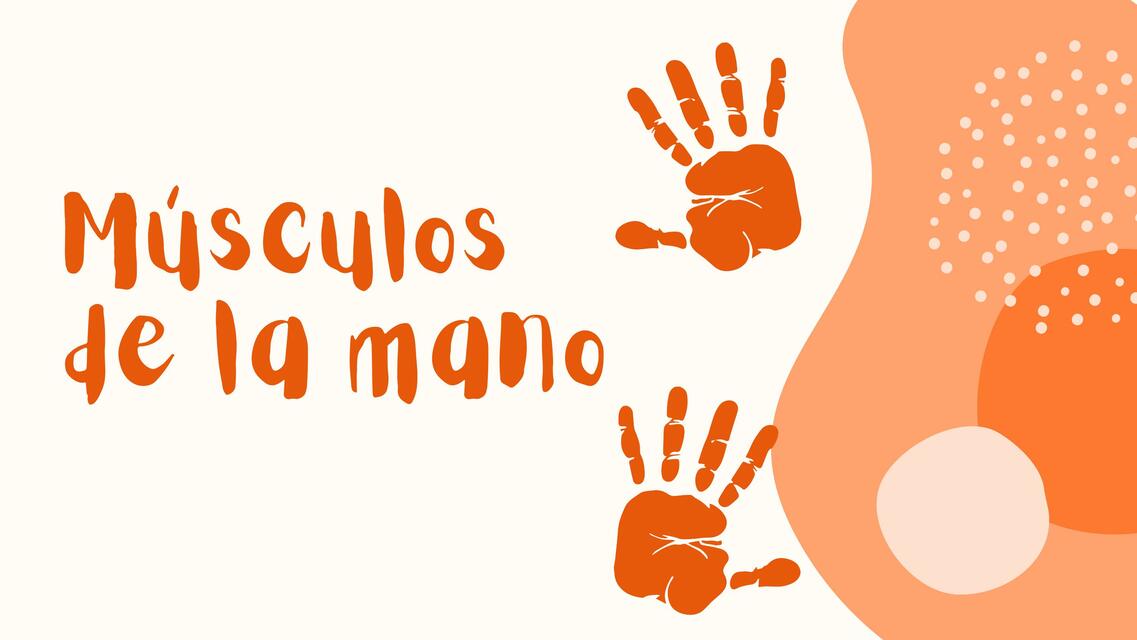 Músculos de la Mano 