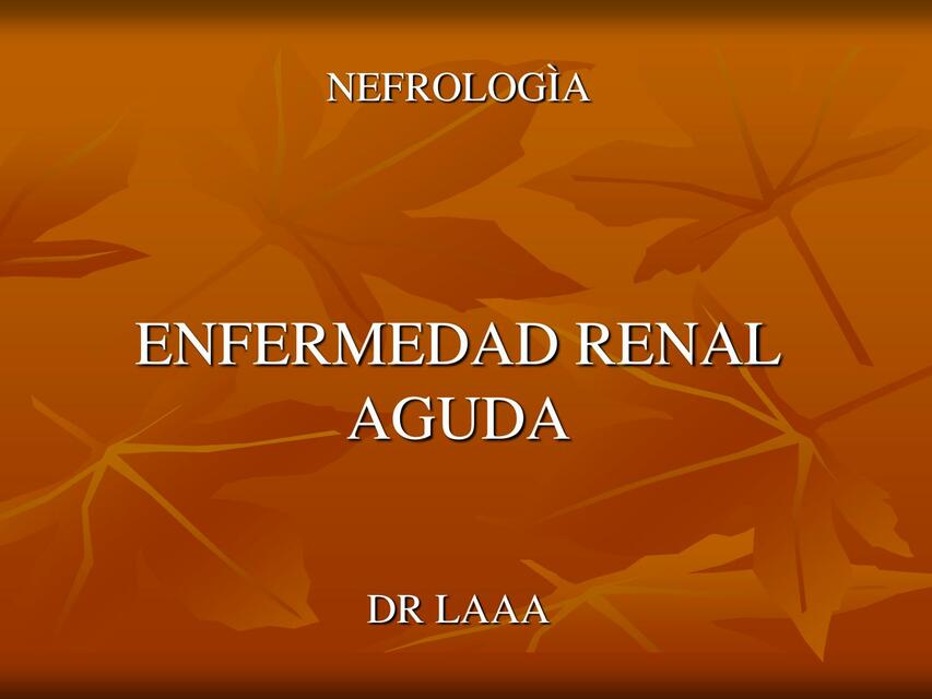 Enfermedad Renal Aguda 