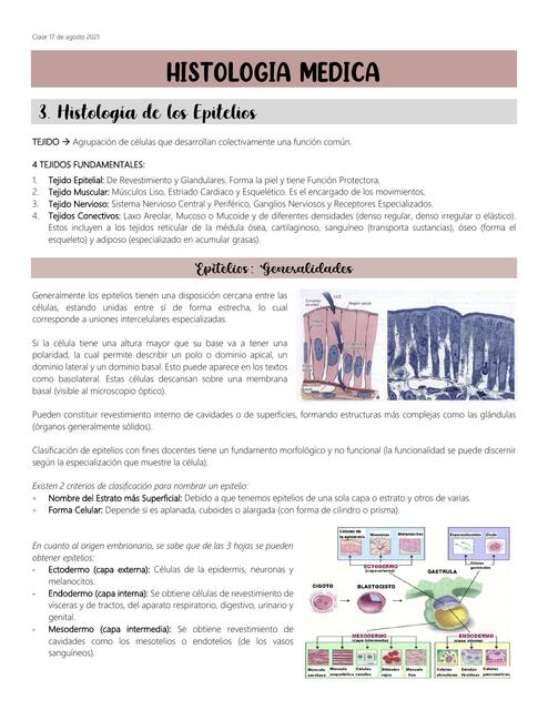 Histología de los Epitelios