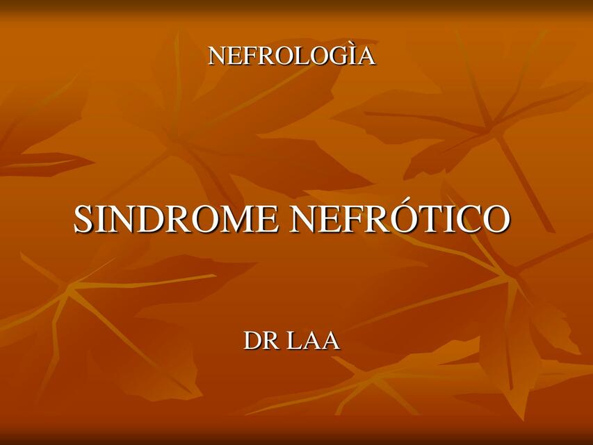 Síndrome Nefrótico 