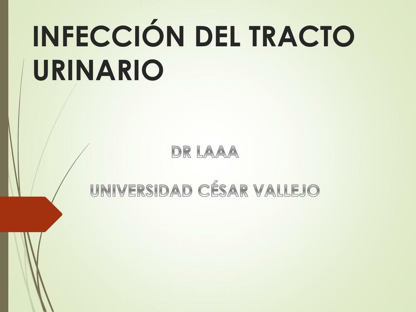 Infecciones Urinarias 