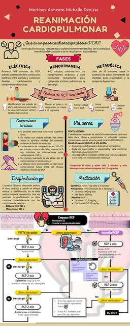 RCP | Infografia