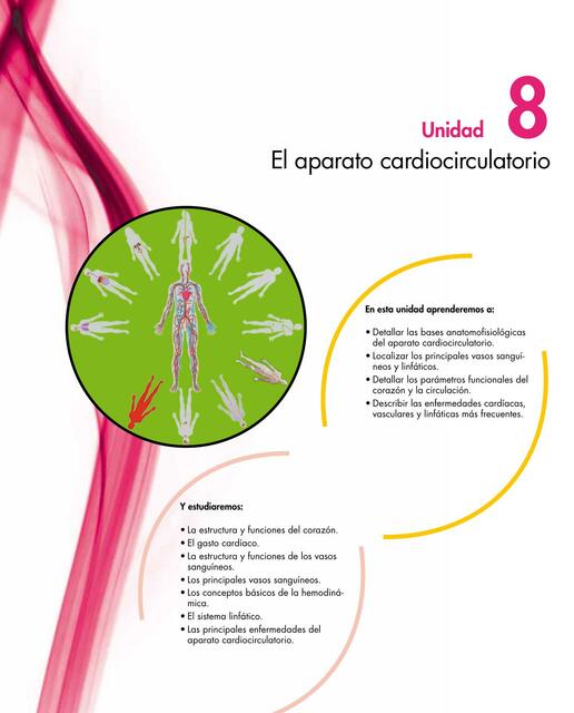 Sistema Cardiovascular 