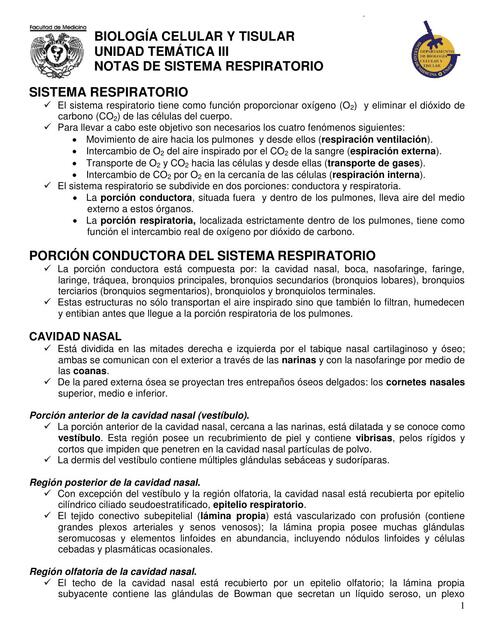 Sistema Respiratorio