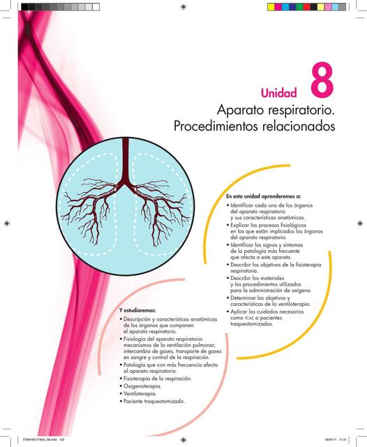 Aparato Respiratorio 