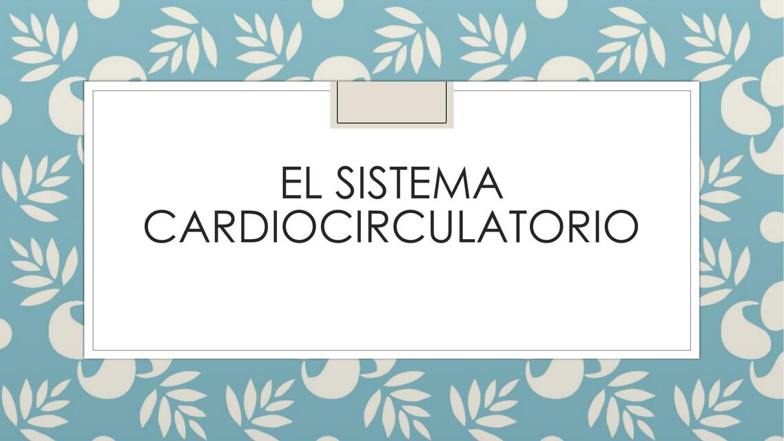 El Sistema Cardiocirculatorio